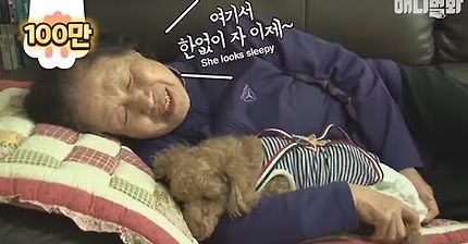 치매에 걸린 할머니가 절대 잊지 않는"아들, 김오봉"(강아지) | 인스티즈