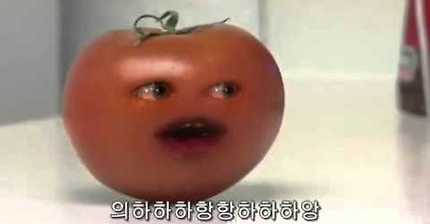 어노잉 오렌지 모음 | 인스티즈