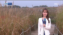 [날씨] '한로' 아침 안개 주의, 늦은 밤 중서부 비