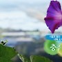 [여행과 풍경] 가을로 물든 내륙 도시..충청북도 충주시