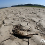 계속되는 봄가뭄, 바닥드러낸 예당저수지
