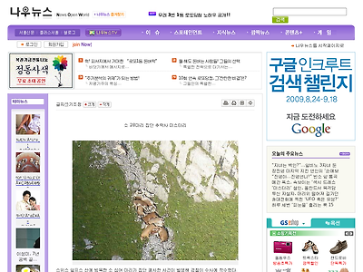 http://nownews.seoul.co.kr/news/newsView.php?id=20090829601006