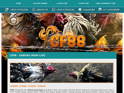 http://cf88vn.org