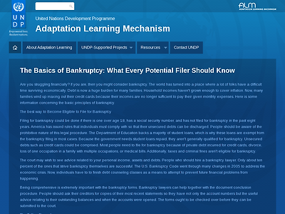 http://undp.adaptationlearning.net/basics-bankruptcy-what-every-potential-filer-should-know