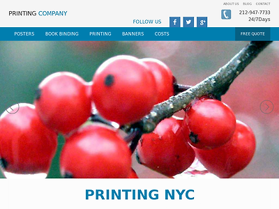 http://nydigitalsolutions.com/Printing-New-York.php