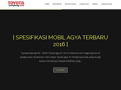 http://www.toyotalampung.info/
