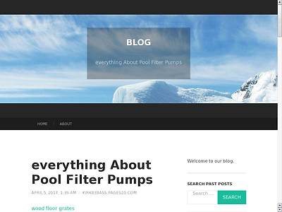 http://kirk83bass.pages10.com/everything-About-Pool-Filter-Pumps-5937023