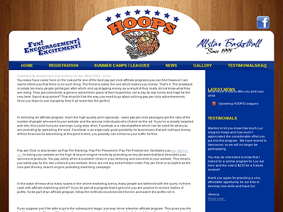 http://www.hoopsallstar.ca/content/some-big-reasons-internet-marketing-works