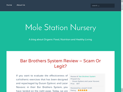 http://www.molestationnursery.com/review/bar-brothers-system-review/