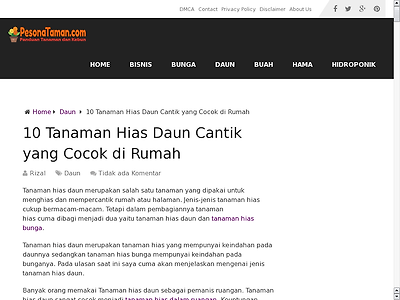 http://pesonataman.com/daun/10-tanaman-hias-daun-cantik-cocok-rumah/