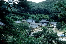영천 은해사