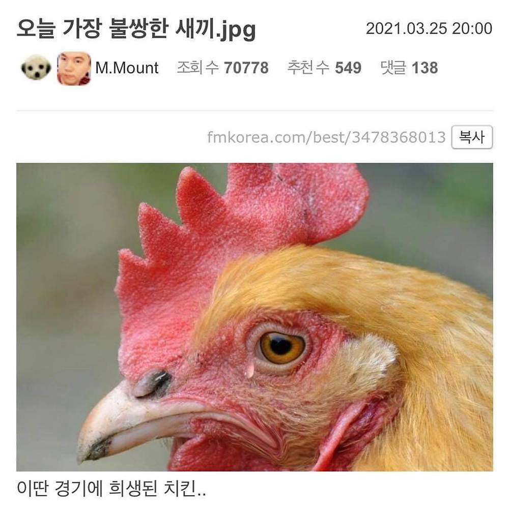 5BK7CKi.jpg
