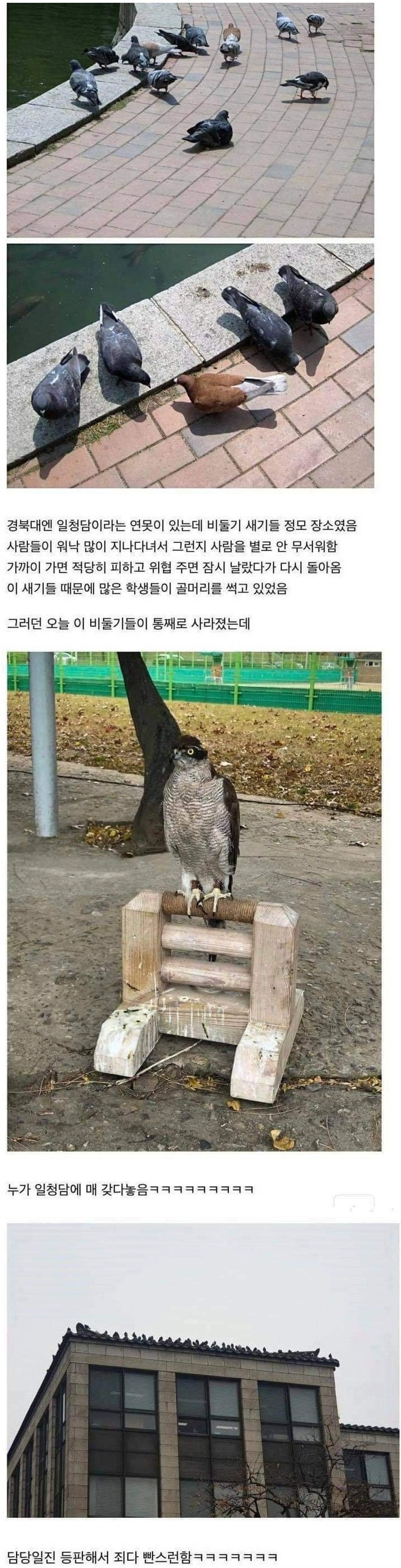 EN75wIw.jpg