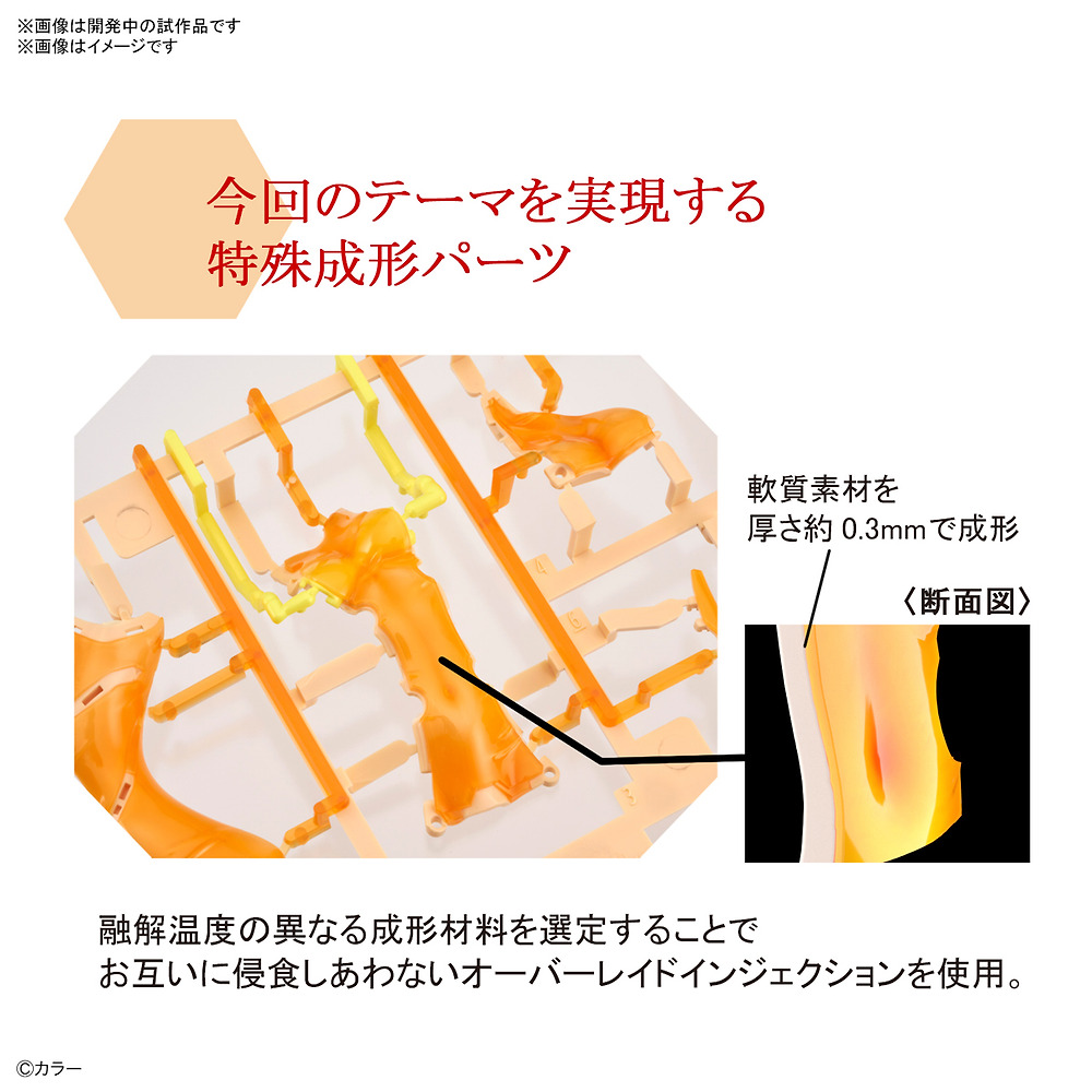 HGdpno3.jpg