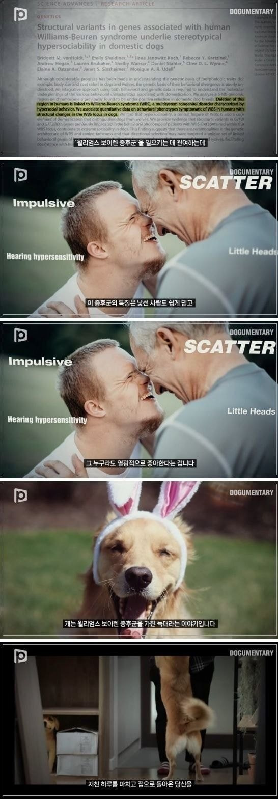 LbiFbfN.jpg