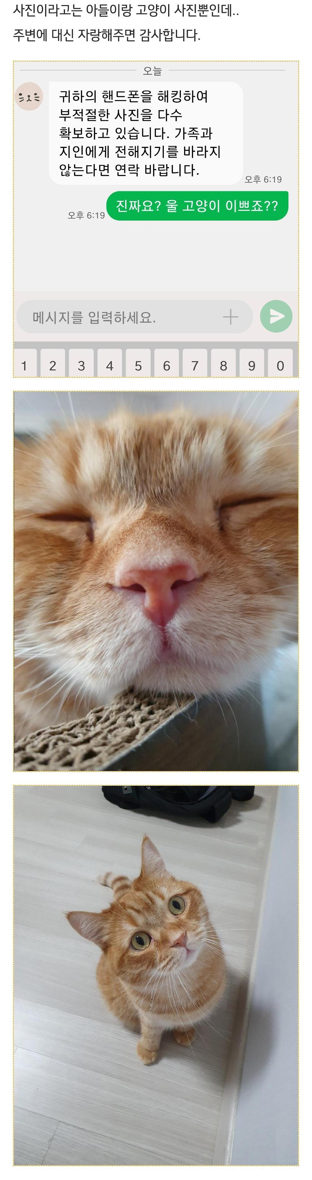 nwebp