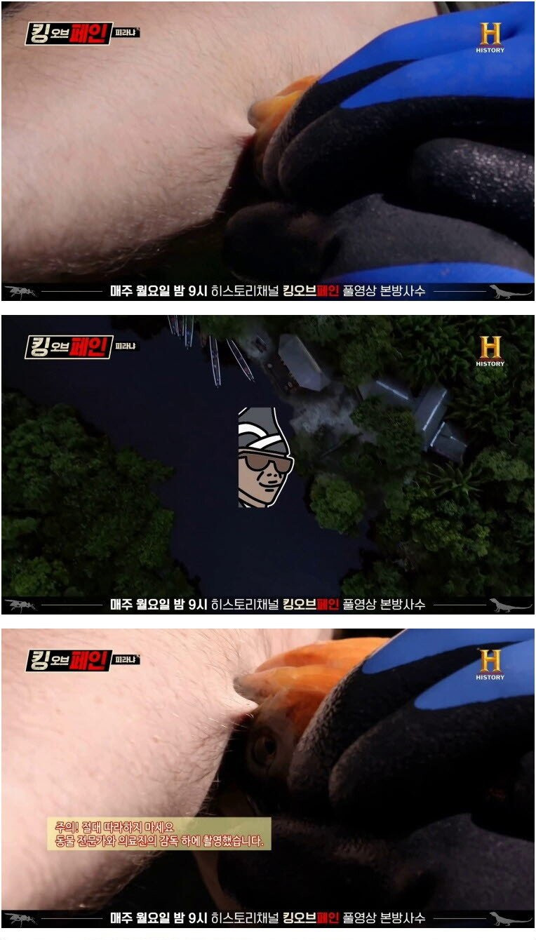 eP3NTh1.jpg