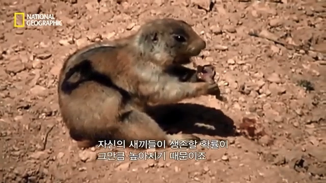 k7sBsiu.jpg