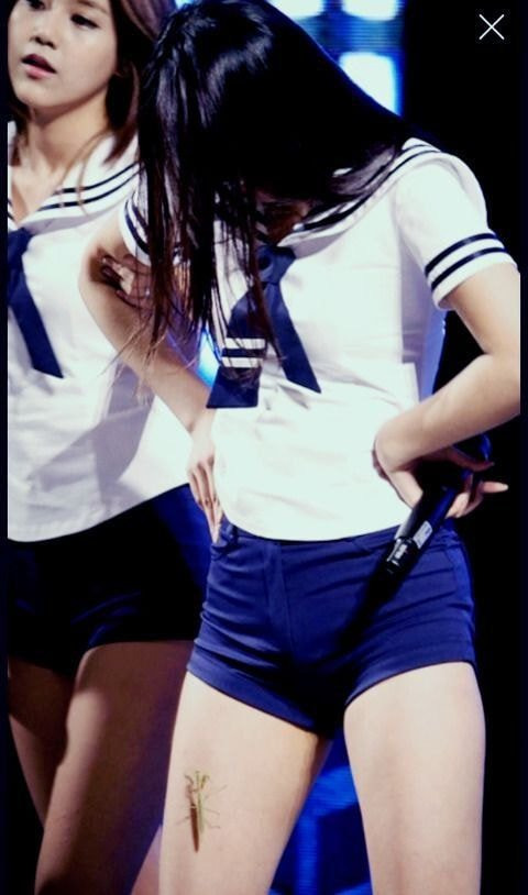 q08TMWw.jpg