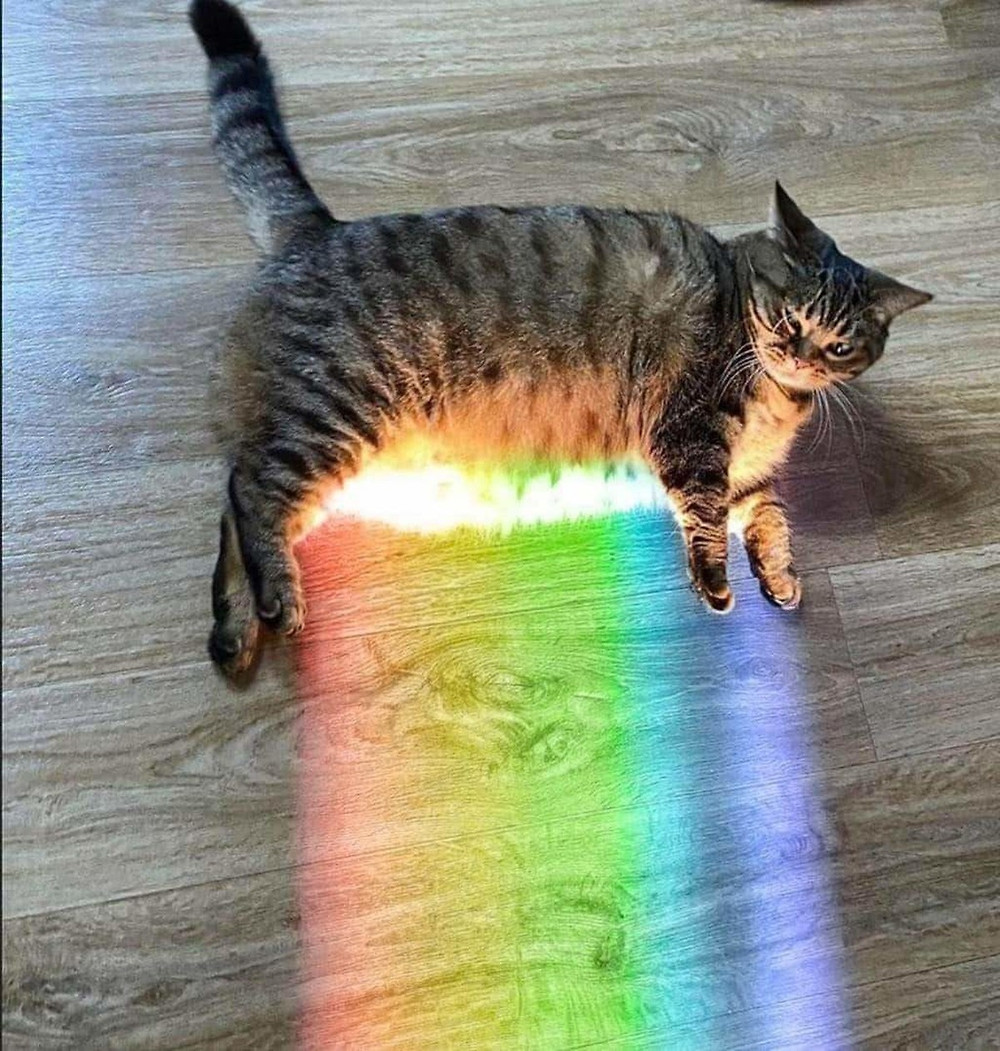 rXcPmgn.jpg