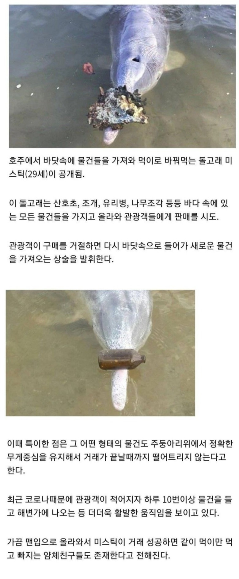 xijsu8a.jpg