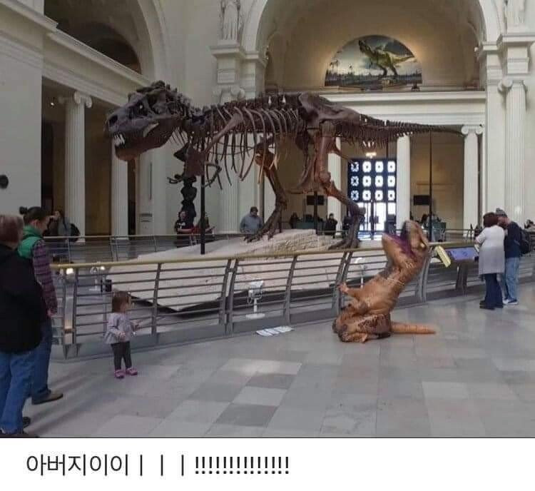 zllGAdh.jpg