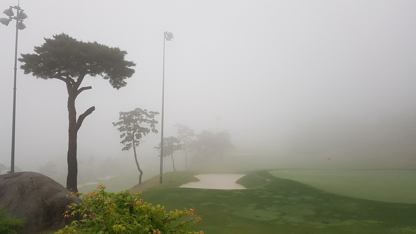 994029455AFEEFFD03F631