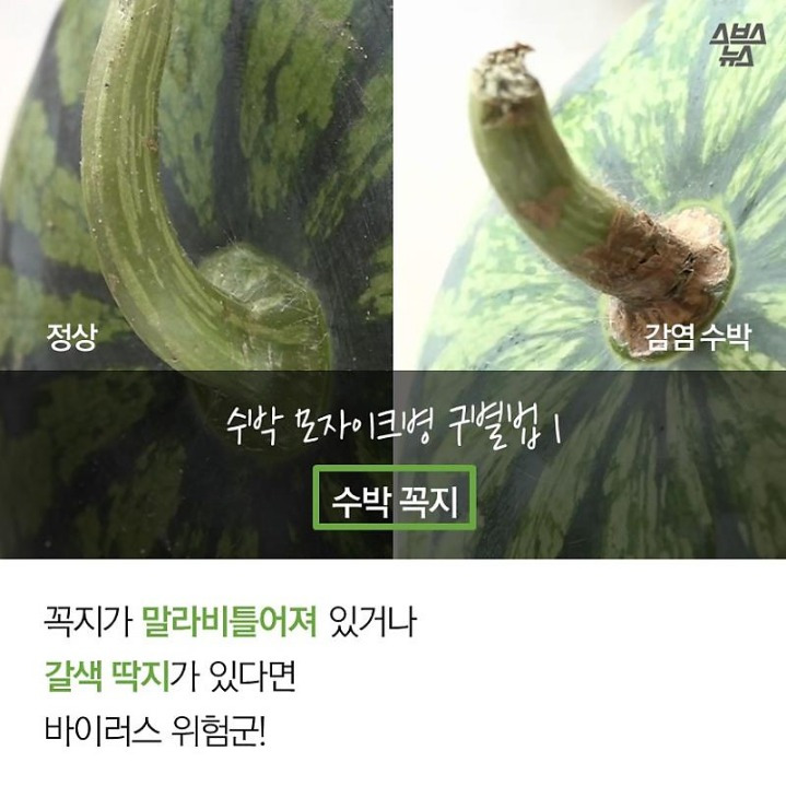 991741435B2FA898081538