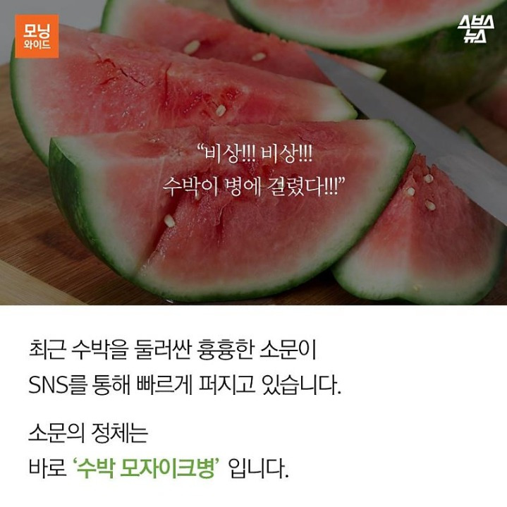 9923564D5B2FA8951E1FA3