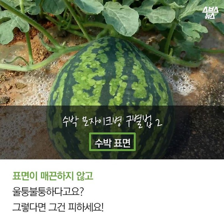 9934A1425B2FA89A21F27D