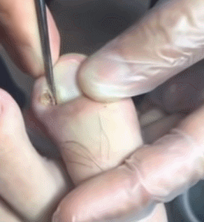 998F96365CD9501F10F54B