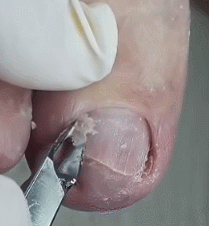 9997EE3C5CDD45B61B6862