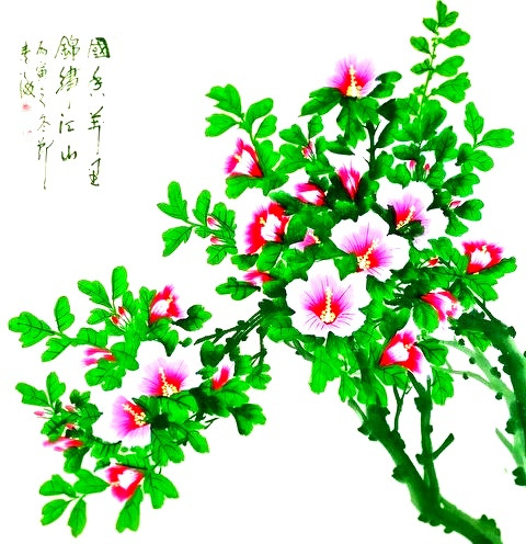 226DAE4F568076CD035BF8