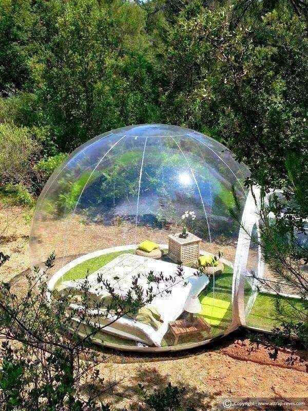 2338DD4B5539F31F263DBE