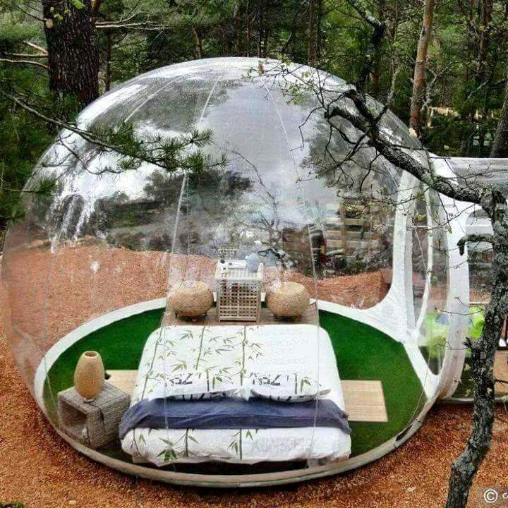 2466984B5539F31E0B7D36