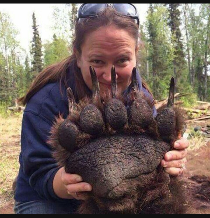 2732E34856AA42EA0B0DE1