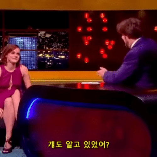 9912253A5B7D1FEF29651D