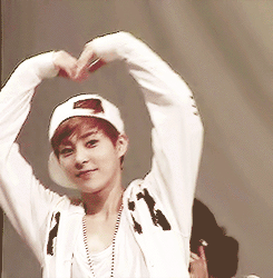 232BE64B558D67FF2DCF86