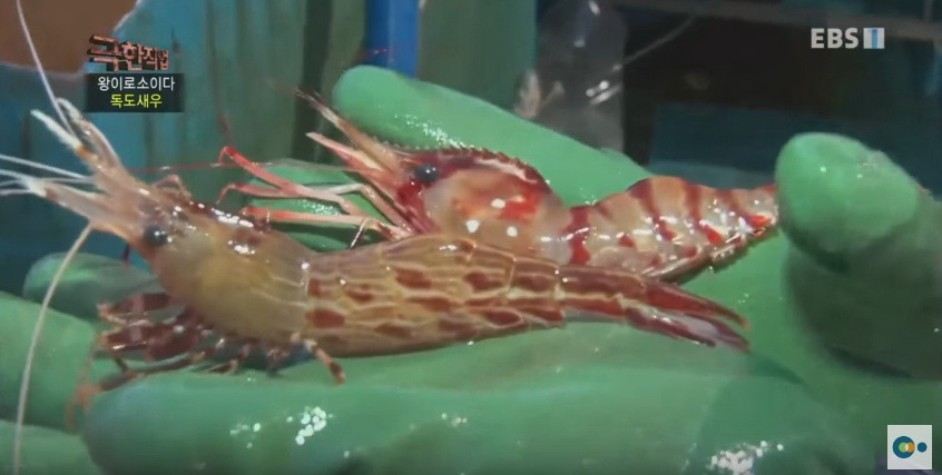 9914C23E5AD5388F10222F