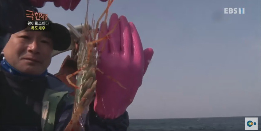 99725D3F5AD5388E172E3E