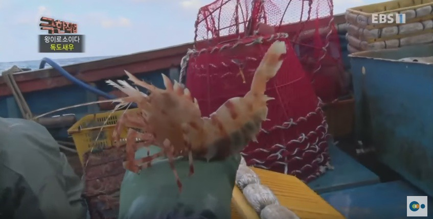 99ADE63F5AD5388E143D1D