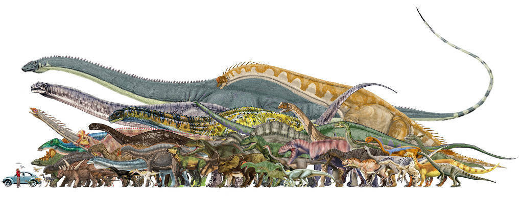 9913E0395AE5C27805DD75