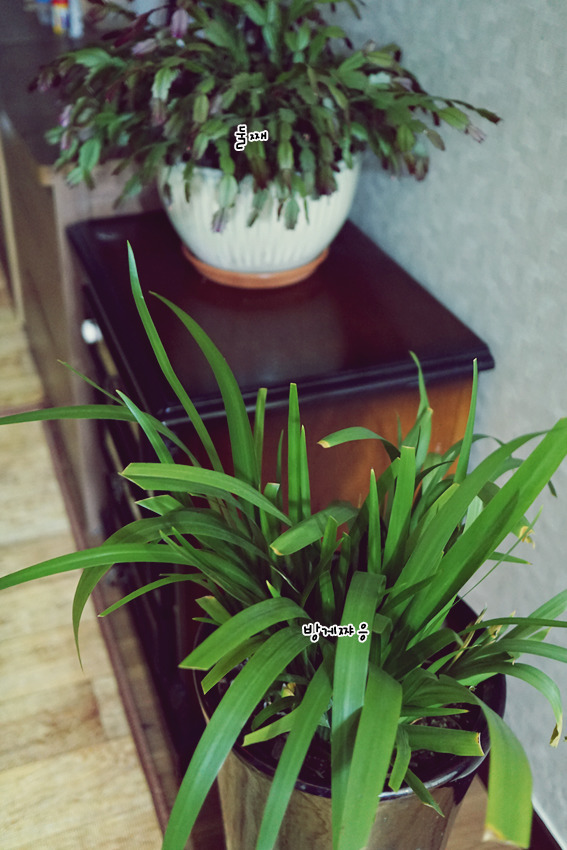 99511F505AC5FD762F4E87