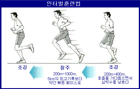 뱃살 빼는데 최고의 운동