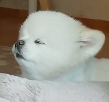 991C12415C9869573083DB