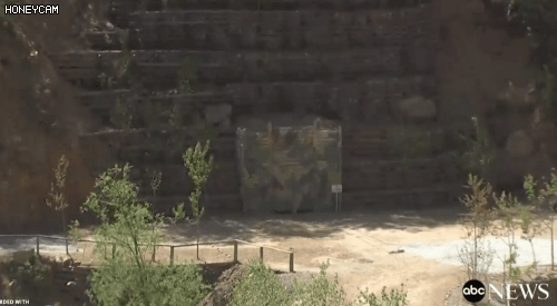 9927F43C5B07552E2630A0