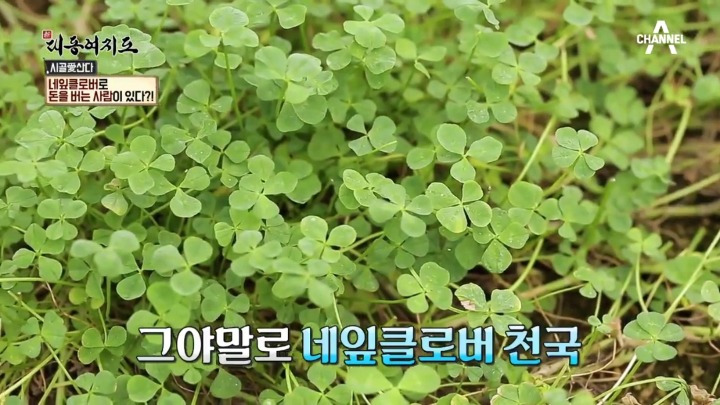 993C8D375A9EBC76049096