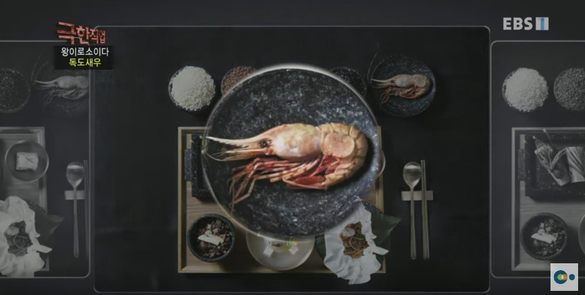 99F4CB3F5AD5388E1044D4