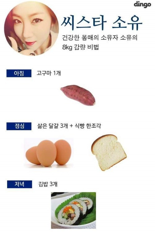 다이어트 대박난 여자 연예인 식단 | 인스티즈