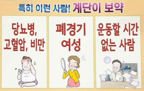 계단오르기 운동 효과